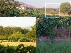 Telephoto Lens 8X