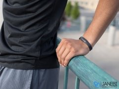 بند سلامتی فیت بیت Flex 2