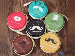 کیف محافظ و حمل هندزفری Earphone Case