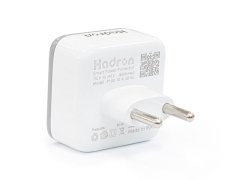 محافظ ولتاژ هادرون مدل P100