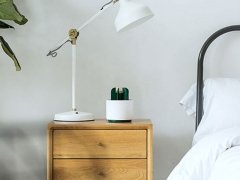 حشره کش طرح کاکتوس Sothing Cactus Mosquito Killer