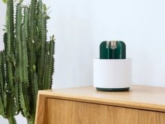 حشره کش طرح کاکتوس Sothing Cactus Mosquito Killer