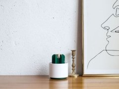 حشره کش طرح کاکتوس Sothing Cactus Mosquito Killer