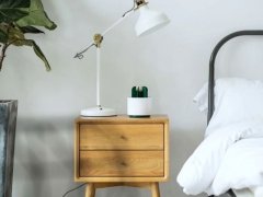حشره کش طرح کاکتوس Sothing Cactus Mosquito Killer