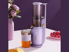 خرید آبمیوه گیری آهسته دوو DAEWOO DY-BM03 Slow Juicer