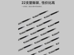 خرید خودکار 22 عددی بایکسو Baixue T1905 Straight Liquid roller ball pen