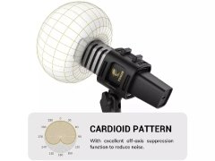 قیمت میکروفن کندانسر تونور TC30 USB Condenser Microphone
