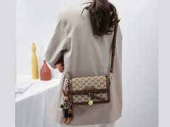 خرید کیف شانه ای زنانه women's shoulder bag 2023 new fashion crossbody bag small square 5813