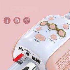 قیمت میکروفون بی سیم ارلدام