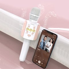 خرید میکروفون بی سیم ارلدام