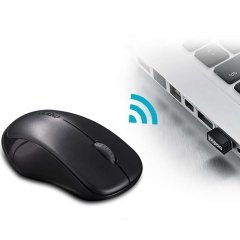 کیفیت موس بی سیم رپو