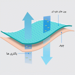 فروش بالش طبی شیائومی