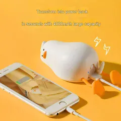 پاور بانک و گرم‌کننده