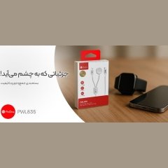 قیمت کابل شارژ دوکاره پرووان