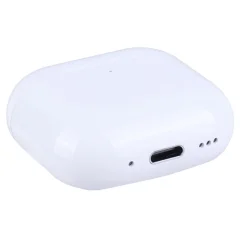 کیس ایربادز ارلدام