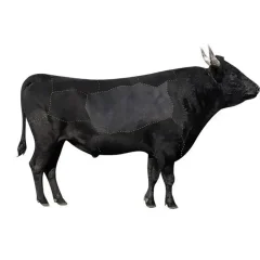 کوله پشتی لپ تاپ  15.6 اینچ چرم ضد آب یو اس بی دار بنج