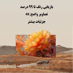 بهترین پرده نمایش پروژکتو ونبو