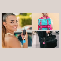 جاکلیدی و آویز کیف
