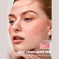 خرید پالت رژگونه پودری شیگلم
