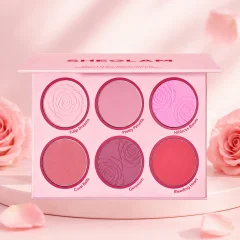 قیمت رژگونه پودری شیگلم