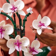 جزئیات گل های ست لگو ارکیده