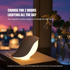 Huizuo Wireless Charger Night Light (DT37-B) (تکراری)