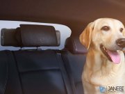 تصفیه هوای اتومبیل میجیا شیائومی Xiaomi Mijia Car Air Purifier