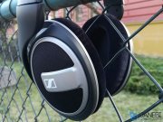 هدفون سنهایزر Sennheiser HD 559 Headphone
