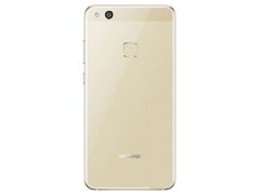 درب پشت Huawei P10 Lite