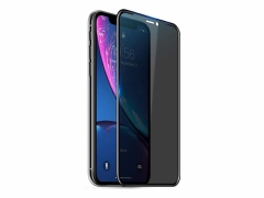 محافظ صفحه نمایش شیشه ای نانو حریم شخصی آیفون Blueo 3D Anti Peep Glass Apple iPhone XS Max/11 Pro Max