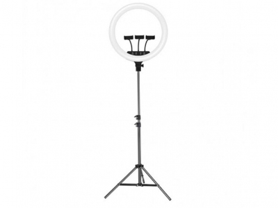 رینگ لایت سه پایه دار جویروم Joyroom 18inch Ring Light JR-ZS228-AKL05