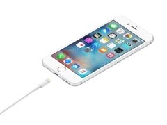 کابل اصلی لایتنینگ اپل Apple Lightning to USB Cable 0.5m