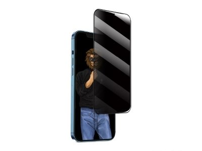 محافظ صفحه نمایش شیشه ای حریم شخصی آیفون گرین Green iPhone XS Max/11 Pro Max 9H Steve Privacy Anti-Peeping Full Glass
