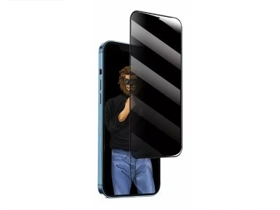 محافظ صفحه نمایش شیشه ای حریم شخصی آیفون 12 و 12 پرو گرین Green iPhone 12/12 Pro 9H Steve Privacy Anti-Peeping Full Glass