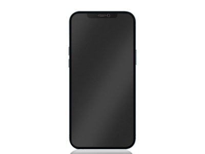 محافظ صفحه نمایش شیشه ای مات حریم شخصی آیفون 12 مینی گرین Green iPhone 12 mini 2.5D Privacy+ Matte Glass