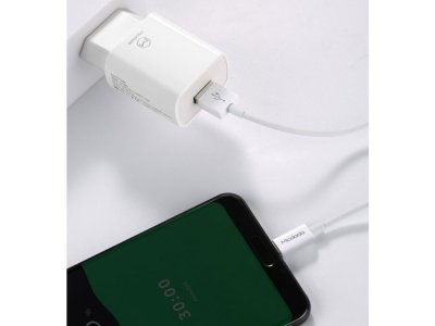 شارژر مسافرتی فست یواس‌بی 10 وات به همراه کابل میکرو مک‌دودو MCDODO CH-6632 Fast Charge 2.1A