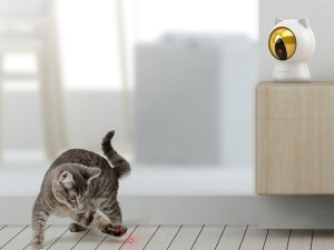 اسباب بازی گربه هوشمند شیائومی Smart Toy for cats petoneer smart dot PTY010