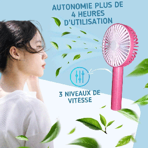 پنکه شارژی دستی و رومیزی دیان‌دی DD-5649