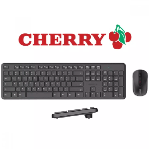 ست موس و کیبورد بی سیم چری DW-2300