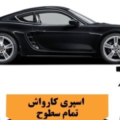 اسپری کارواش بدون آب تام کلین Tam Clean TC_DB480Y22 Wash& Wax Car