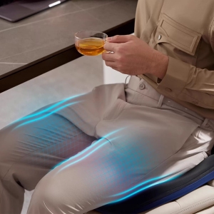 ماساژور برقی نشیمن‌گاه فیلیپس PHILIPS مدل PPM3401B
