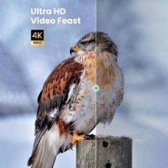 خرید کابل میکرو اچ دی ام آی به اچ دی ام آی یوگرین