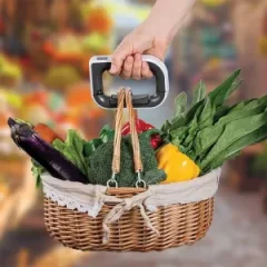 قیمت ترازوی چمدانی گرین لاین