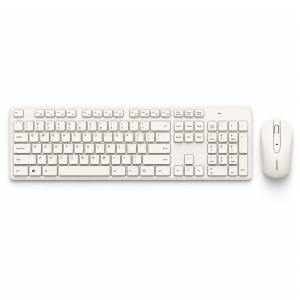 ست موس و کیبورد بی سیم چری DW-2300