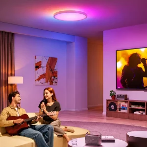 چراغ سقفی هوشمند گووی Govee مدل H80A1 قطر 30 سانتی متر