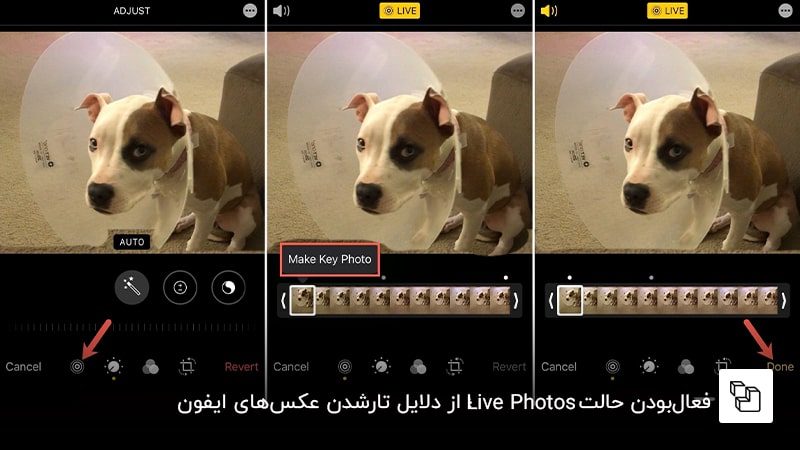 فعال&zwnj;بودن حالت Live Photos؛ از دلایل تارشدن عکس&zwnj;های ایفون