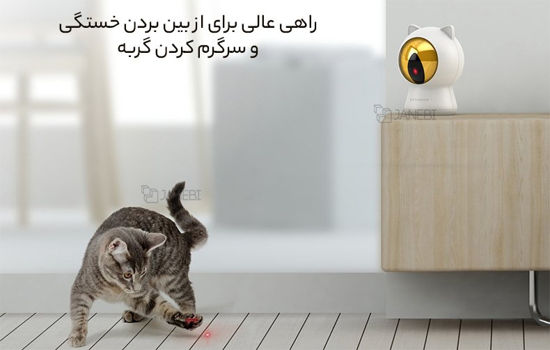 سرگرمی عالی برای گربه