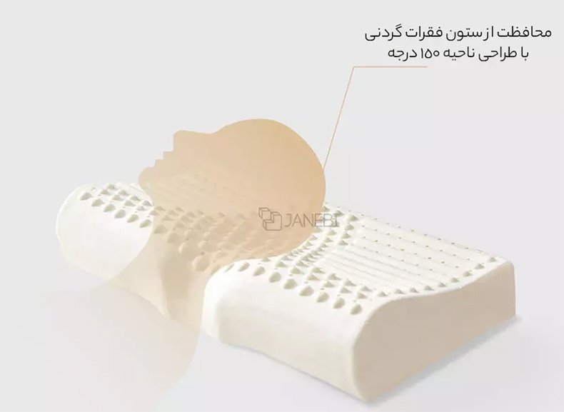 محافظت از ستون فقرات گردنی