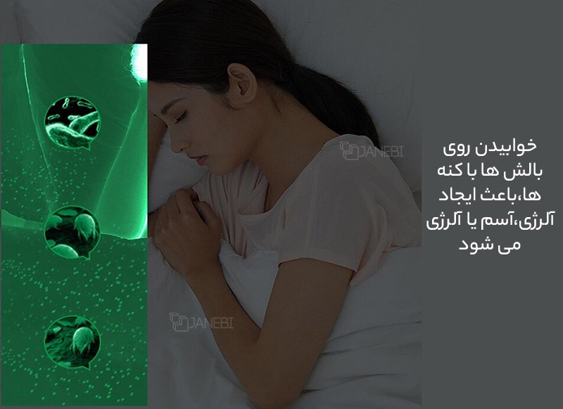 از بین بردن کنه ها